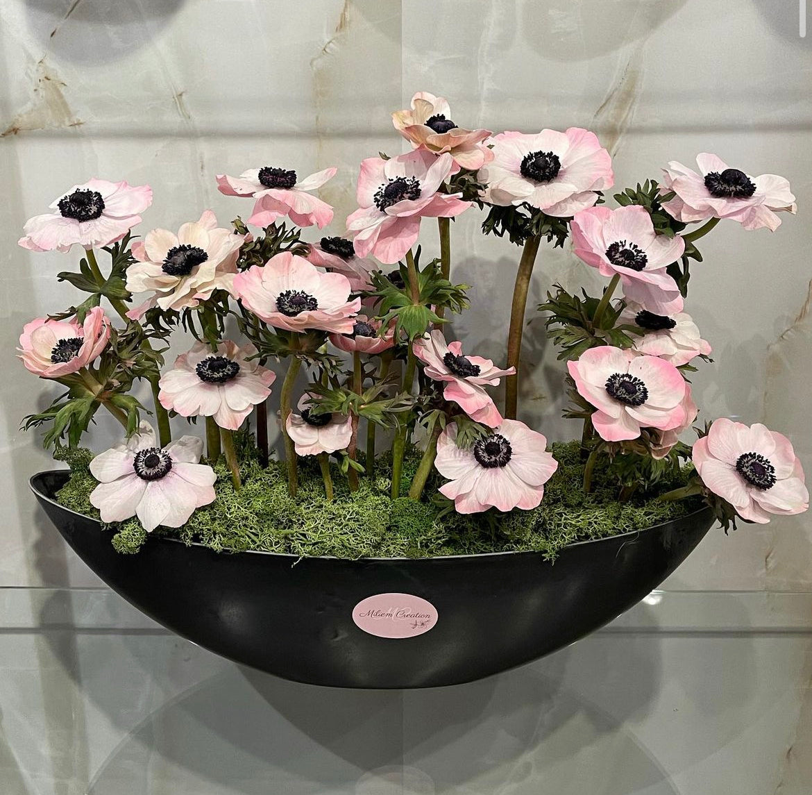 The Anemone