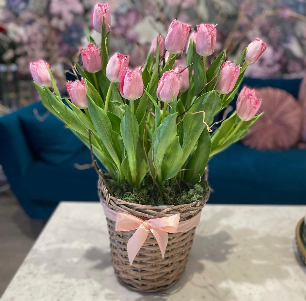 The Tulip Dream