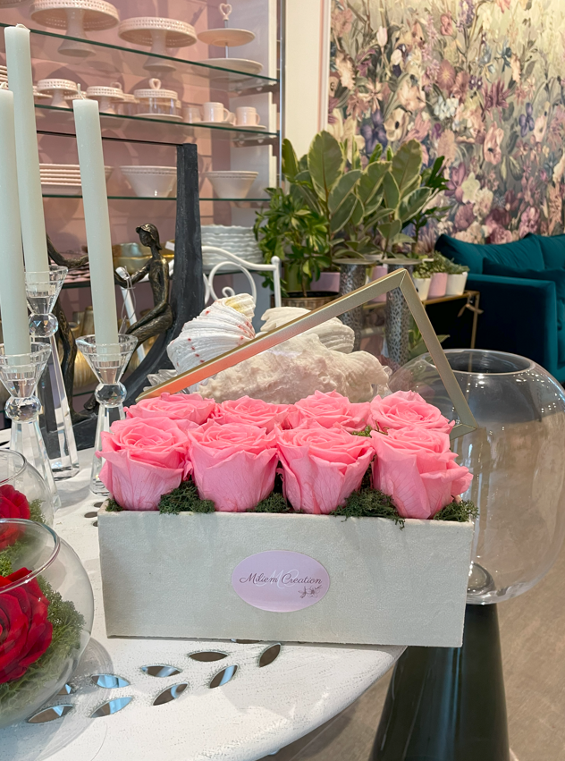 Pink Roses
