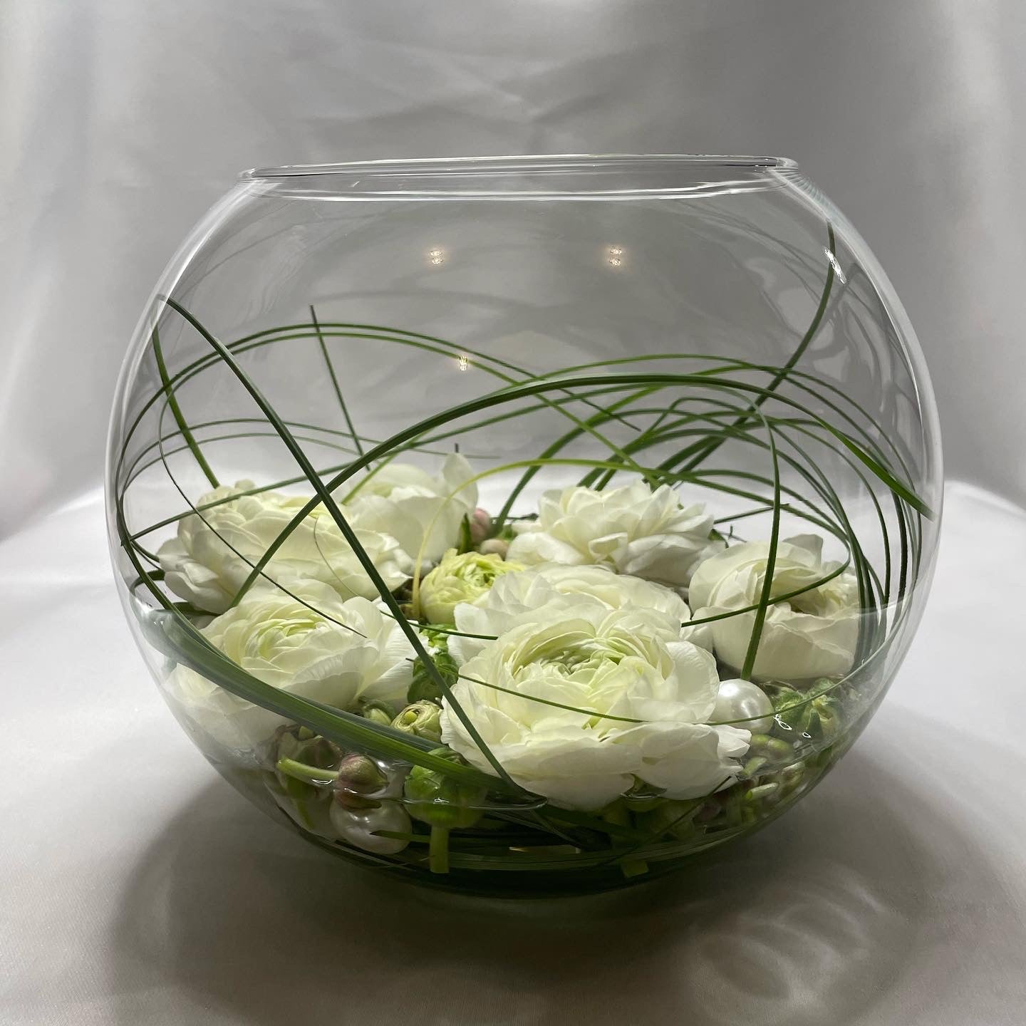 The Lily