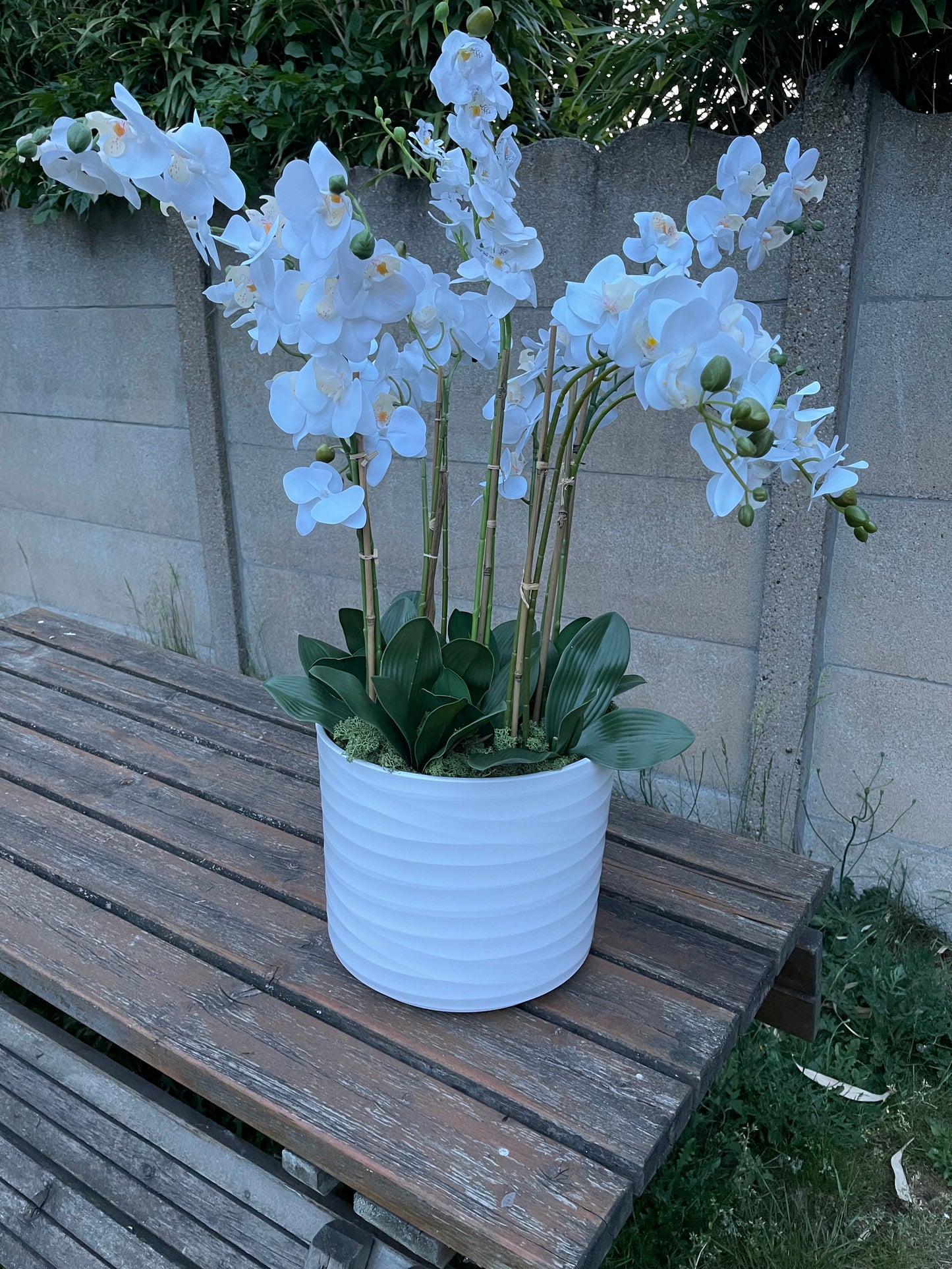 The Orchid