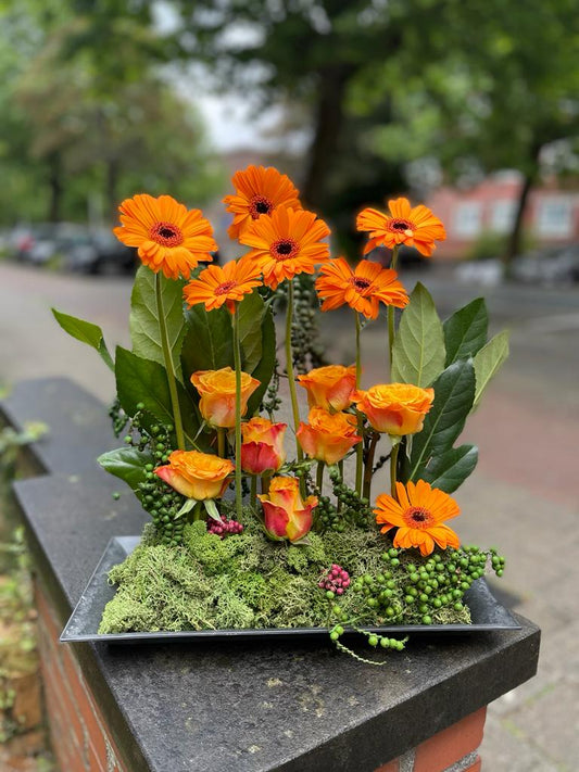 The Gerbera